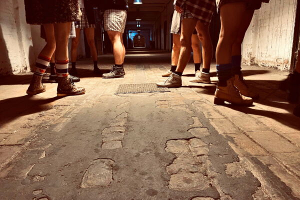 MA Acteren Ilse De Koe