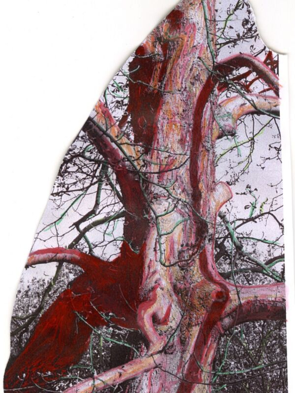 APPUNTI PER LA SOPRAVVIVENZA DELLE LUCCIOLE