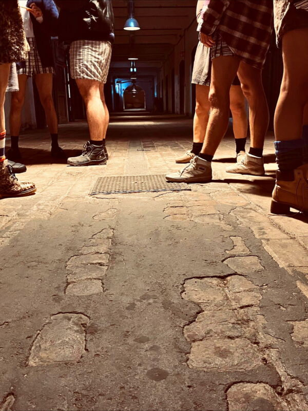 MA Acteren Ilse De Koe