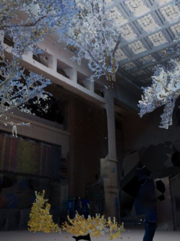 VR wereld afbeelding