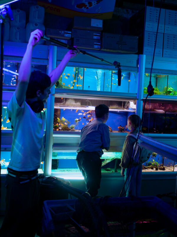 105 Onderstroom Mina Shojaei Fard Leonard Wertelaers